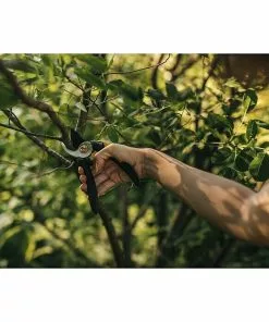 BAUHAUS Fiskars Solid Gartenschere P321 Schneidsystem: Bypass, Max. Aststärke: 20 Mm 9 BAUHAUS Fiskars Solid Gartenschere P321 Schneidsystem: Bypass, Max. Aststärke: 20 Mm -Rasenmäher Verkäufe 12 1435