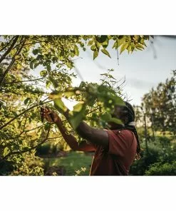 BAUHAUS Fiskars Solid Gartenschere P321 Schneidsystem: Bypass, Max. Aststärke: 20 Mm 11 BAUHAUS Fiskars Solid Gartenschere P321 Schneidsystem: Bypass, Max. Aststärke: 20 Mm -Rasenmäher Verkäufe 12 1437