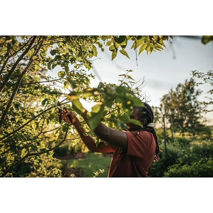BAUHAUS Fiskars Solid Gartenschere P321 Schneidsystem: Bypass, Max. Aststärke: 20 Mm 6 BAUHAUS Fiskars Solid Gartenschere P321 Schneidsystem: Bypass, Max. Aststärke: 20 Mm – Bild 6