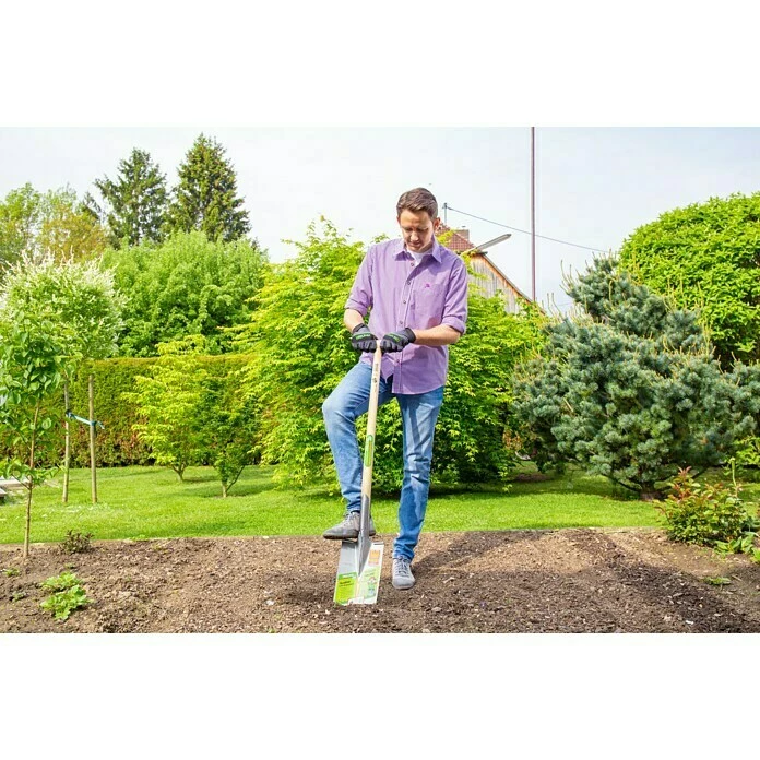 BAUHAUS Freund Victoria Gärtnerspaten Maße Blatt: 280 X 185 Mm, T-Stiel 3 BAUHAUS Freund Victoria Gärtnerspaten Maße Blatt: 280 X 185 Mm, T-Stiel – Bild 3