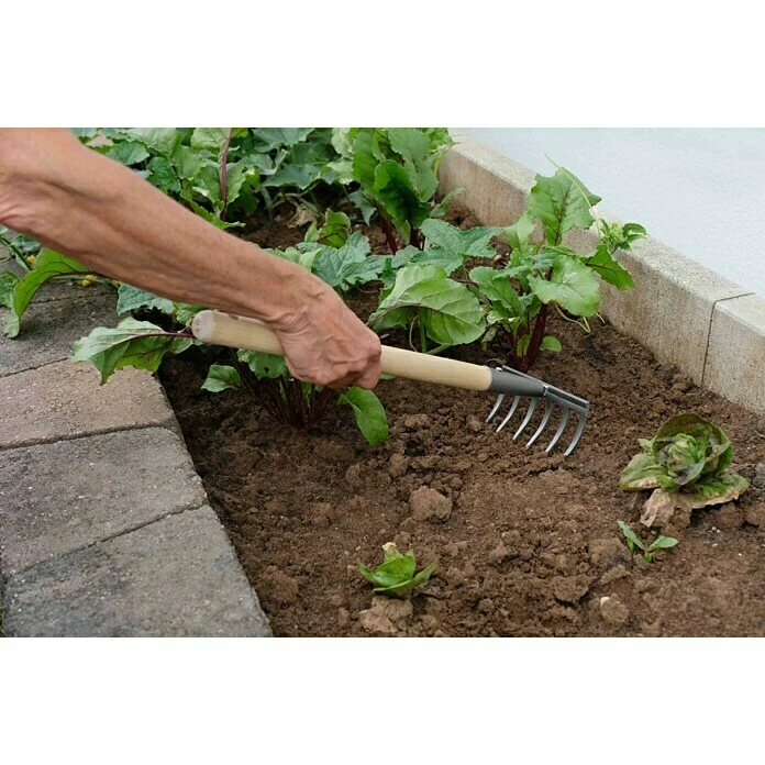 BAUHAUS Gardol Hand-Kleinrechen Arbeitsbreite: 14 Cm, Anzahl Zinken: 6, Kurzstiel 2 BAUHAUS Gardol Hand-Kleinrechen Arbeitsbreite: 14 Cm, Anzahl Zinken: 6, Kurzstiel – Bild 2