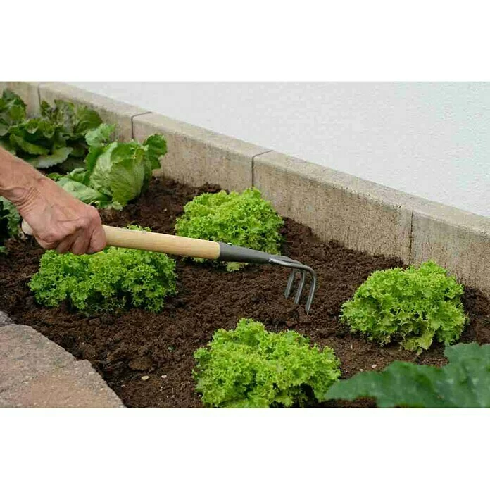 BAUHAUS Gardol Hand-Kleingrubber Arbeitsbreite: 7,5 Cm, Anzahl Zinken: 3, Kurzstiel 2 BAUHAUS Gardol Hand-Kleingrubber Arbeitsbreite: 7,5 Cm, Anzahl Zinken: 3, Kurzstiel – Bild 2