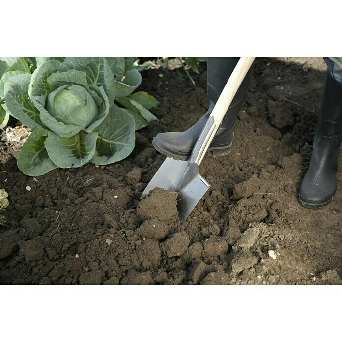 BAUHAUS Gardol Bauspaten Arbeitsbreite: 18 Cm, T-Stiel 2 BAUHAUS Gardol Bauspaten Arbeitsbreite: 18 Cm, T-Stiel – Bild 2
