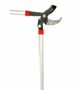 BAUHAUS Gardol Getriebe-Astschere Amboss, Max. Aststärke: 42 Mm 9 BAUHAUS Gardol Getriebe-Astschere Amboss, Max. Aststärke: 42 Mm -Rasenmäher Verkäufe 12 2106