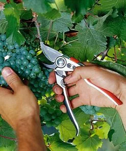 BAUHAUS Gardena Premium Gartenschere BP50 Bypass, Max. Aststärke: 22 Mm 6 BAUHAUS Gardena Premium Gartenschere BP50 Bypass, Max. Aststärke: 22 Mm -Rasenmäher Verkäufe 12 2109