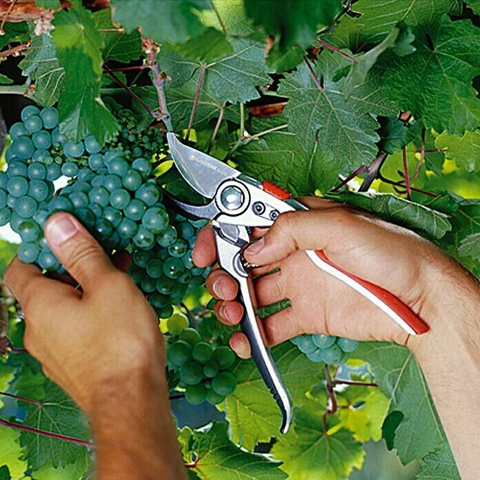 BAUHAUS Gardena Premium Gartenschere BP50 Bypass, Max. Aststärke: 22 Mm 3 BAUHAUS Gardena Premium Gartenschere BP50 Bypass, Max. Aststärke: 22 Mm – Bild 3