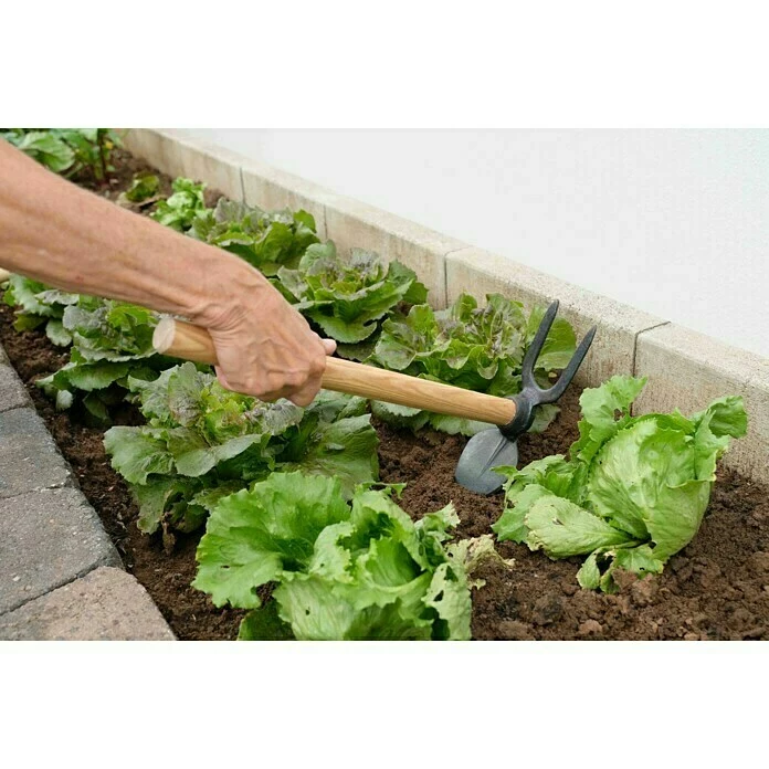 BAUHAUS Gardol Doppelhacke 2, Herzblatt, Kurzstiel 2 BAUHAUS Gardol Doppelhacke 2, Herzblatt, Kurzstiel – Bild 2