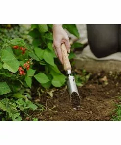 BAUHAUS Kent & Stowe Hand-Blumenzwiebelpflanzer Durchmesser: 4 Cm 5 BAUHAUS Kent & Stowe Hand-Blumenzwiebelpflanzer Durchmesser: 4 Cm -Rasenmäher Verkäufe 12 2674