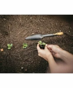 BAUHAUS Fiskars Solid Pflanzkelle Saatgut 29,8 Cm -Rasenmäher Verkäufe 12 2684