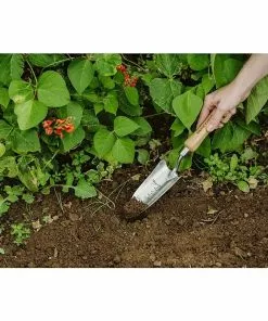 BAUHAUS Kent & Stowe Pflanzkelle 6,5 Cm 5 BAUHAUS Kent & Stowe Pflanzkelle 6,5 Cm -Rasenmäher Verkäufe 12 2704