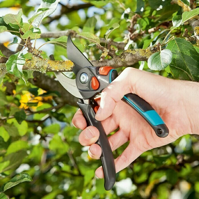 BAUHAUS Gardena Comfort Gartenschere B/S-XL Bypass, Max. Aststärke: 24 Mm 5 BAUHAUS Gardena Comfort Gartenschere B/S-XL Bypass, Max. Aststärke: 24 Mm – Bild 5