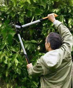 BAUHAUS Fiskars PowerGear Astschere LX92-S Bypass, Max. Aststärke: 38 Mm 10 BAUHAUS Fiskars PowerGear Astschere LX92-S Bypass, Max. Aststärke: 38 Mm -Rasenmäher Verkäufe 12 3046