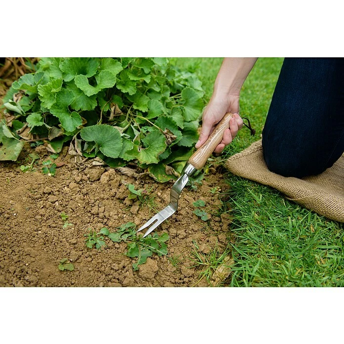 BAUHAUS Kent & Stowe Unkrautstecher 4 Cm 2 BAUHAUS Kent & Stowe Unkrautstecher 4 Cm – Bild 2