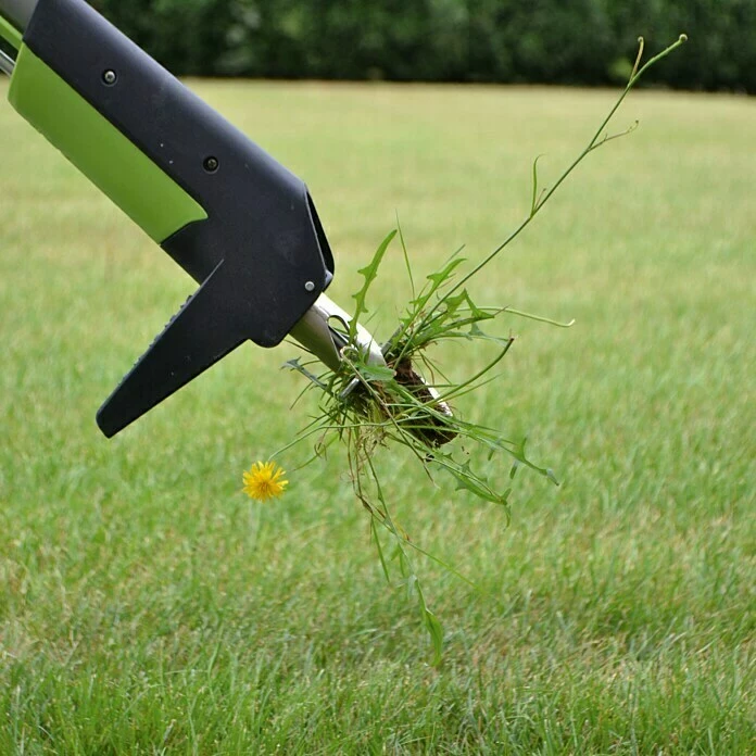 BAUHAUS Freund Victoria Unkrautstecher Mit Fußhebel, Länge: 102 Cm 4 BAUHAUS Freund Victoria Unkrautstecher Mit Fußhebel, Länge: 102 Cm – Bild 4