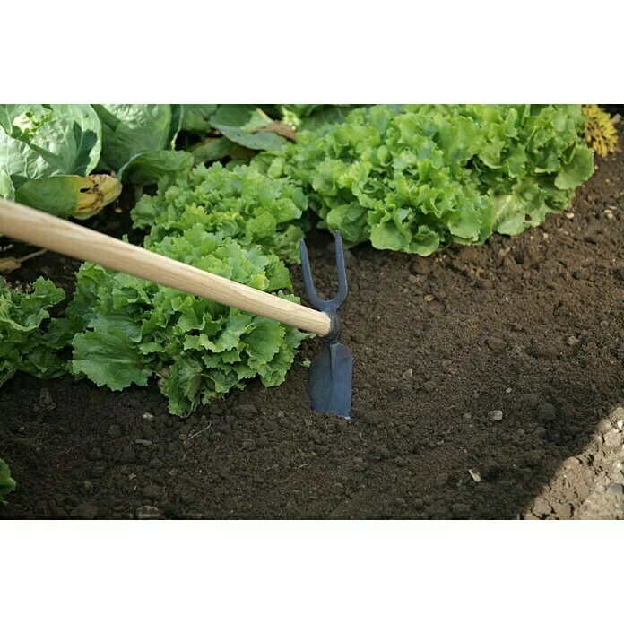 BAUHAUS Gardol Gartenhacke Breite: 70 Mm, Anzahl Zinken: 2, Langstiel 2 BAUHAUS Gardol Gartenhacke Breite: 70 Mm, Anzahl Zinken: 2, Langstiel – Bild 2