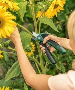 BAUHAUS Bosch Akku-Gartenschere EasyPrune 3,6 V, 1 Akku, Max. Aststärke: 25 Mm 10 BAUHAUS Bosch Akku-Gartenschere EasyPrune 3,6 V, 1 Akku, Max. Aststärke: 25 Mm -Rasenmäher Verkäufe 12 3855