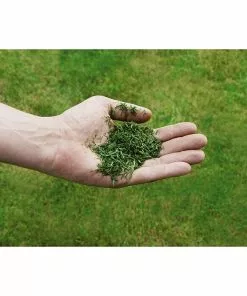 BAUHAUS Einhell Power X-Change Akku-Rasenmäher GE-CM 36/43 Li M 18 V, 2 Akkus, 4 Ah, Schnittbreite: 43 Cm 9 BAUHAUS Einhell Power X-Change Akku-Rasenmäher GE-CM 36/43 Li M 18 V, 2 Akkus, 4 Ah, Schnittbreite: 43 Cm -Rasenmäher Verkäufe 12 718