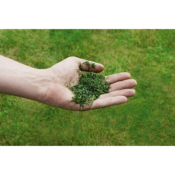 BAUHAUS Einhell Power X-Change Akku-Rasenmäher GE-CM 36/43 Li M 18 V, 2 Akkus, 4 Ah, Schnittbreite: 43 Cm 4 BAUHAUS Einhell Power X-Change Akku-Rasenmäher GE-CM 36/43 Li M 18 V, 2 Akkus, 4 Ah, Schnittbreite: 43 Cm – Bild 4