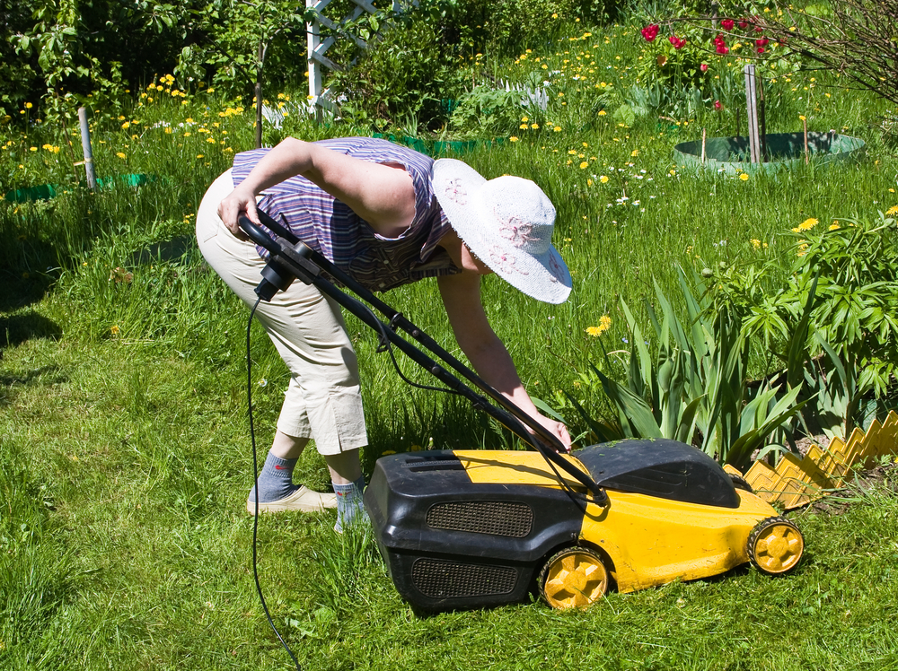 Titelseite -Rasenmäher Verkäufe 45685