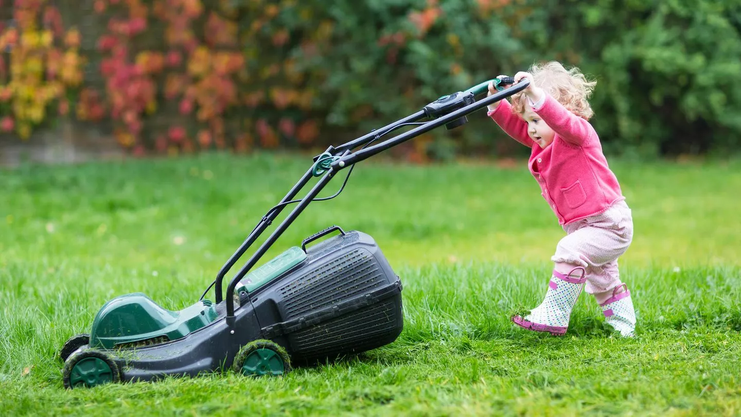 Titelseite -Rasenmäher Verkäufe 6585